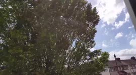 Heavy Wind with hot Sunny weather Southall UK