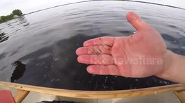 3 FISH IN 3 MINUTES!!!