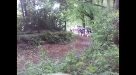 Who let the Dogs out???