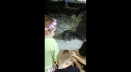 Kids playing with otter and getting a high five at Oklahoma aquarium
