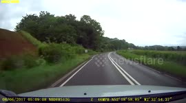 Points and fine anyone?