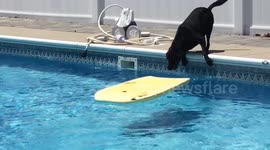 Surfing into Summer