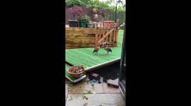 Mutual preening