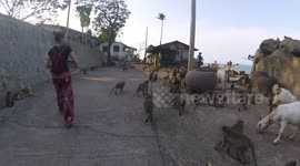 Monkey Mountain, Hua Hin Thailand 2017