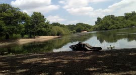 Time lapse video at Hollow pond, Leytonstone,London,UK