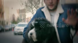 The Dog Walk