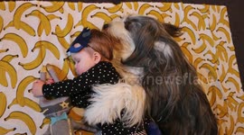 Newsflare Edit - Dog spoons baby during 'nap time'