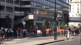 Large number of horse riders in Blackfriars