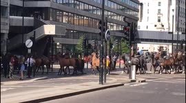 Newsflare Edit - Large number of horse riders in Blackfriars