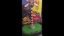 Train driver