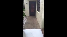 Coming home to my daughter