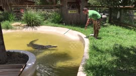 Crocodile Training