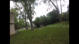 Man Rescues Terrier from a Cheeky Deer.