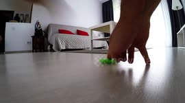 funny cat with spinner fidget