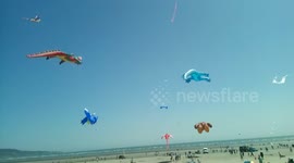 Dublin Kite Festival