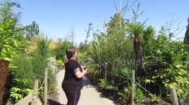 Tayto Park - Jurassic