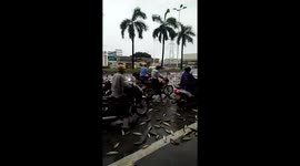 Thousands of fish spill on road as transport lorry flips over