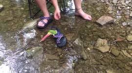 Parrott rafting in creek