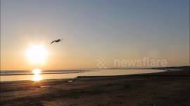 Summer beach Sunset