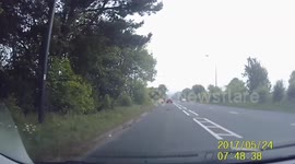 Should have kept your eyes on the road