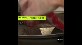 Why You Should Eat Fish