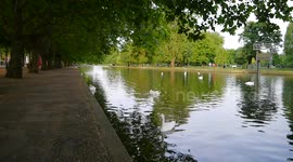 Tropical temperatures in Bedford England UK 10o hotter than Tenerife