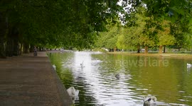 Tropical temperatures in Bedford England UK 10o hotter than Tenerife