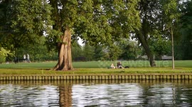 Tropical temperatures in Bedford England UK 10o hotter than Tenerife