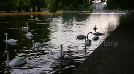 Tropical temperatures in Bedford England UK 10o hotter than Tenerife