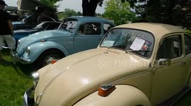 BW Beetles Park Up