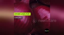 Newsflare Edit - Other Use for Onions