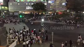 Hatchiko crossing Tokyo timelapse night time