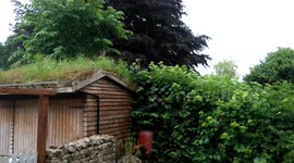 Thunder rumbling on summer solstice