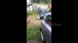 Fast food chickens