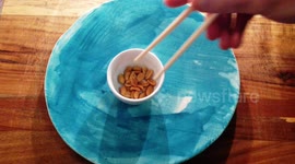 How to use chopsticks if you don't know how to use chopsticks
