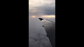 Flight home