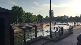 Swimming in the thames