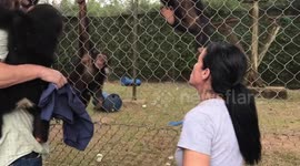 Orphaned Baby Chimps Find Refuge