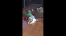 Twerking Baby on Dog