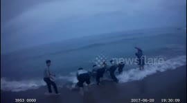 Police and fishermen rescue a whale shark stranded on beach