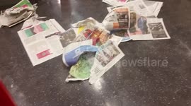Footage shows how messy London Underground trains can get