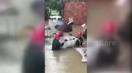 Rescuers use plastic bucket to transport children trapped in floodwater