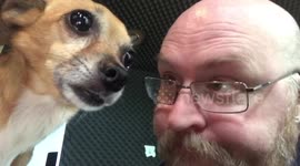 Take my dog to work N675