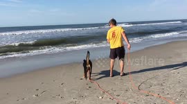 Lyla trips while running from water