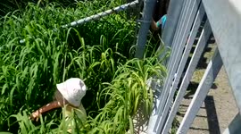 Summertime Fun