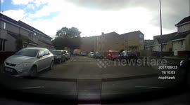 F### nearmiss with ped and dogs!!!! :( please be careful