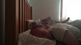 Cat wakes up owner with sharp claws