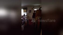 Woman freaks out as she receives surprise tickets to Harry Styles' concert