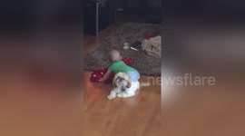 Very patient dog lets baby 'twerk' on his back
