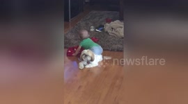 Newsflare Edit - Very patient dog lets baby 'twerk' on his back